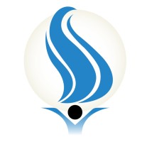 SDF Corp - We are the solution logo - Similar company to Eastern Cape Mining Indaba
