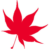 Acer Insurance Services logo - Similar company to Sweep Scrub Limited