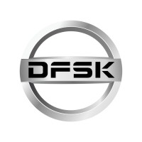 DFSKUAE logo - Similar company to Green Motors Auto Tech