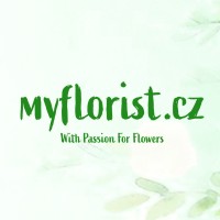 MY FLORIST logo - Similar company to Costplus11