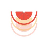 Bloom Digital logo - Similar company to Email Pros
