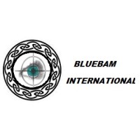 Bluebam International Tracing & Debt Collectors logo - Similar company to Tfg