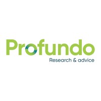 Profundo logo - Similar company to Wise Nederland