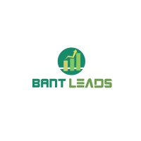 BANT LEADS logo - Similar company to Mapping Infinity