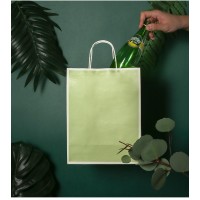 Kraft paper bag logo - Similar company to Techpak Group