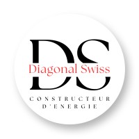 Diagonal Swiss logo - Similar company to Lunopa Group