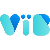 V ï B (pronounced vibe) logo - Similar company to V-Luxe