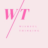 Wishful Thinking Inc. logo - Similar company to The Education Equalizer Foundation