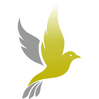 Pure Insights International logo - Similar company to Populi Solutions