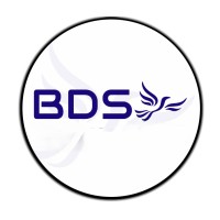 BDS USA logo - Similar company to Canvex