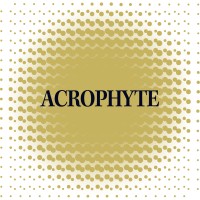 Acrophyte, Inc logo - Similar company to American Cane