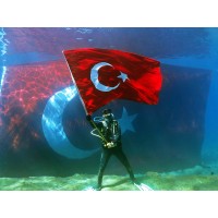 FETHİYE TÜPLÜ DALIŞ MERKEZİ logo - Similar company to Fethiye B.V.