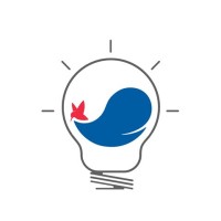 Humming Whale Product Innovations