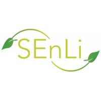 SEnLi logo - Similar company to Strategy Experts
