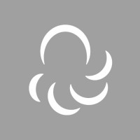 Octus Design logo - Similar company to Codinfox
