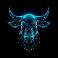 Bull Creek Technologies logo - Similar company to Bcpr Technologies Ltd