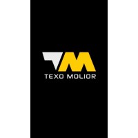 TM TEXO MOLIOR logo - Similar company to Tromont