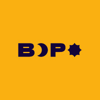 BEDPRO logo - Similar company to Nreservi.Com