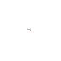 Samson Consultancy logo - Similar company to Samson Consulting