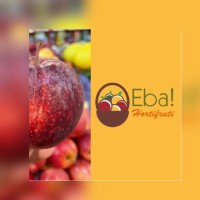 Eba Hortifruti logo - Similar company to Supermercado Queiroz