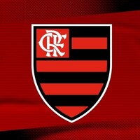 Clube de Regatas do Flamengo logo - Similar company to Comitê Olímpico Do Brasil