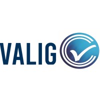 Valig Group logo - Similar company to Lab Squad