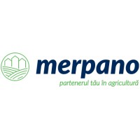 Merpano logo - Similar company to Elfwise