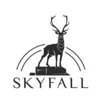 Skyfall logo - Similar company to Skyfall It Security