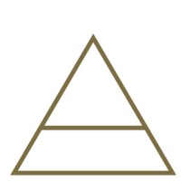 Altus logo - Similar company to Altus