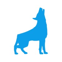 bluedog Security Monitoring logo - Similar company to Rt&Co. Cybersecurity