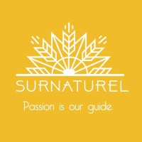 Surnaturel Agency logo - Similar company to Assurplus