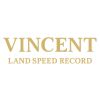 Vincent LSR logo - Similar company to Metron Consult