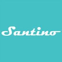 Santino-Service S.R.L. logo - Similar company to Elo Development Ltd