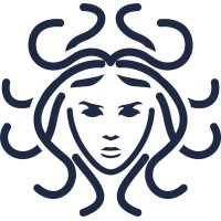 Capitaegis Management logo - Similar company to Season.Vision