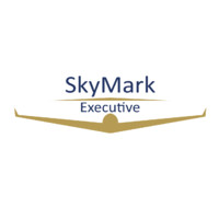 SkyMark Executive logo - Similar company to Caza Toy