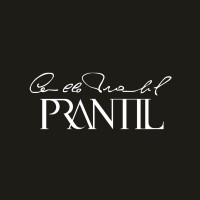 PRANTIL CAMILLO SRL logo - Similar company to Assb Bsb