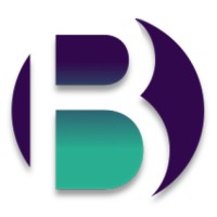 BORROWED TIME by LRL logo - Similar company to Ll Strategy