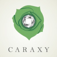 CARAXY Grown Diamonds logo - Similar company to Realibox