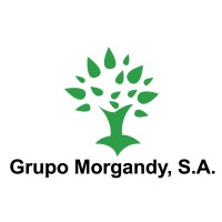 Grupo Morgandy, S.A. logo - Similar company to Comeca