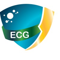 The Electrostatic Cleaning Group
