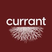 Currant