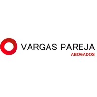 Vargas Pareja Abogados & Consultores S.A.C. logo - Similar company to Grupo Consulnova