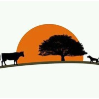 VETERINARIA SERVET logo - Similar company to Zoodx - Servicios Veterinarios Especializados