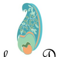 Alankaran designs logo - Similar company to New Folder Design