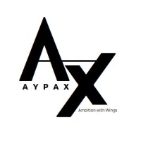 Aypax logo - Similar company to Ironlock Sistemas