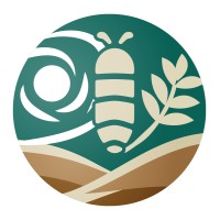 INFOTEBRIO logo - Similar company to Hlvn | Healthcare Value Navigator