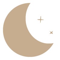 LunaTrain logo - Similar company to Luna Rail