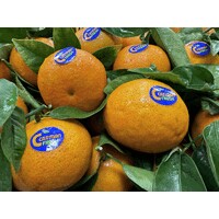 CATMAN FRESH S.A. logo - Similar company to Unifresh