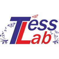 TessLab logo - Similar company to Tess Lab