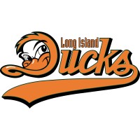 Long Island Ducks Baseball logo - Similar company to Long Island Wave